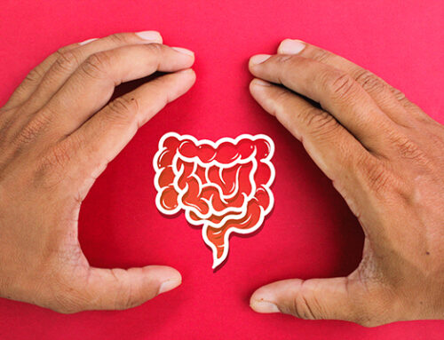 Gut Health: the Real Power of Your Immune System