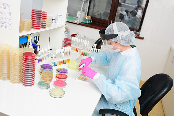 A scientist fills a Petri dish
